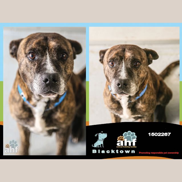 Photo of Luke ~ #1502267