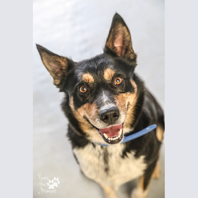 Photo of Appollon ~ #1502252