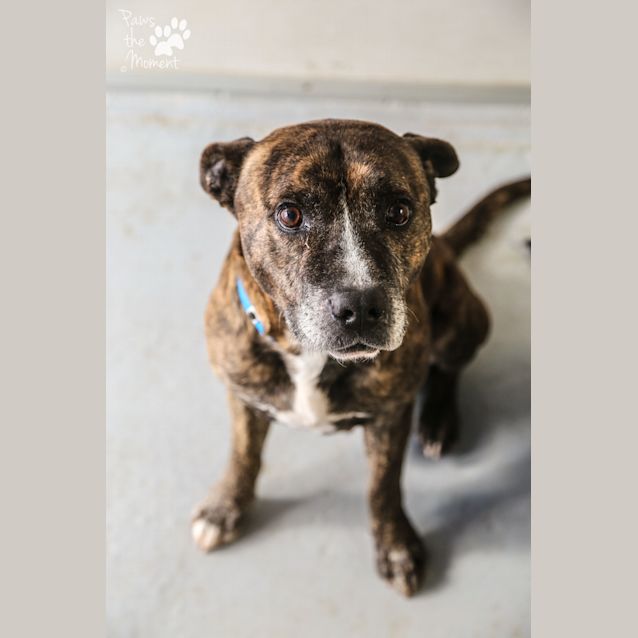 Photo of Luke ~ #1502267