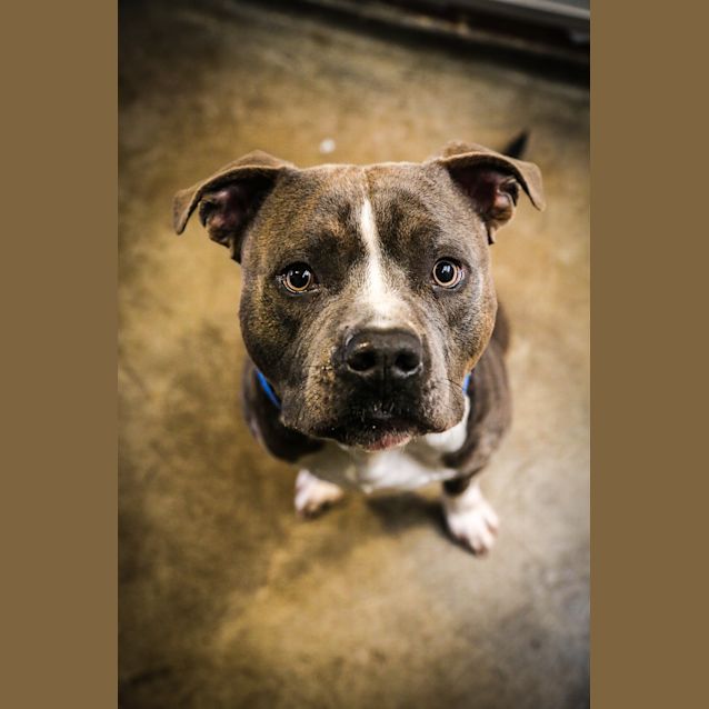 Photo of Junior ~ # 1502481