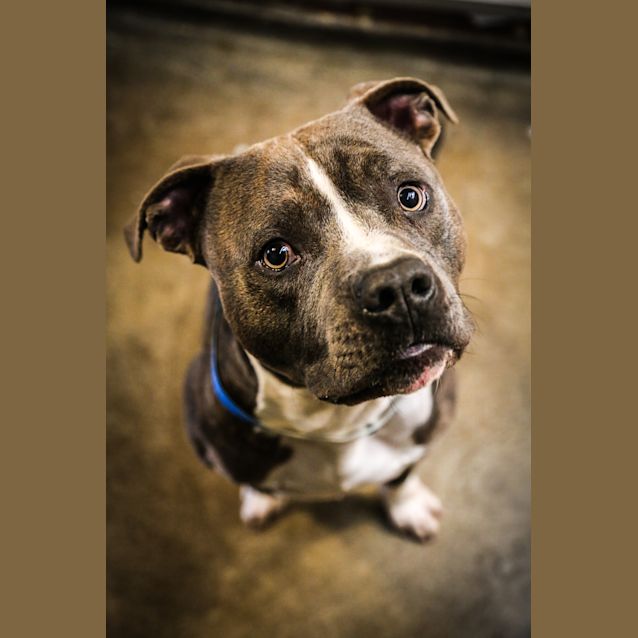 Photo of Junior ~ # 1502481