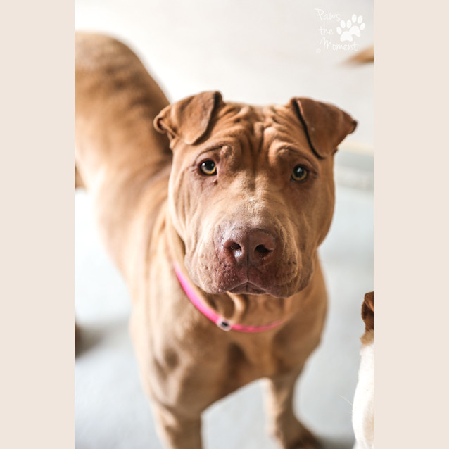 Photo of Jess   #1502284
