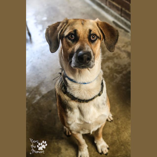 Photo of Rover ~ #1502353