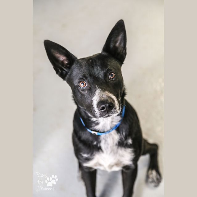 Photo of Max ~ #1502352