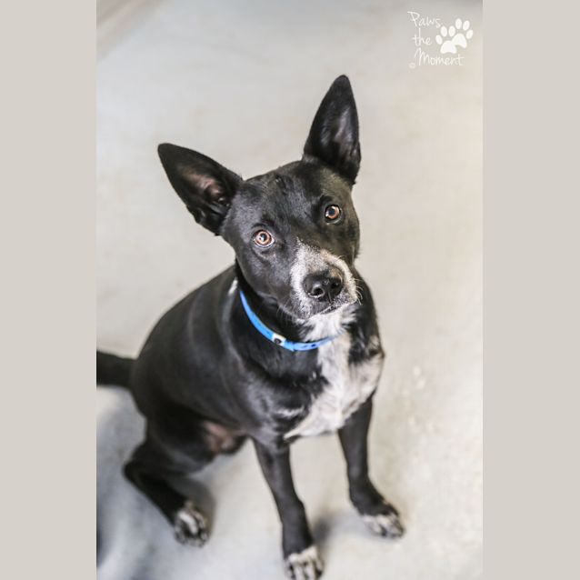 Photo of Max ~ #1502352