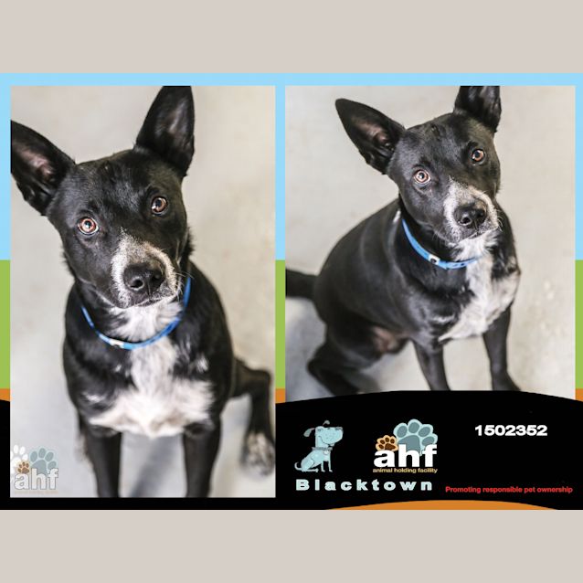 Photo of Max ~ #1502352