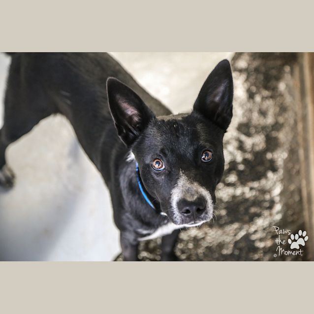 Photo of Max ~ #1502352