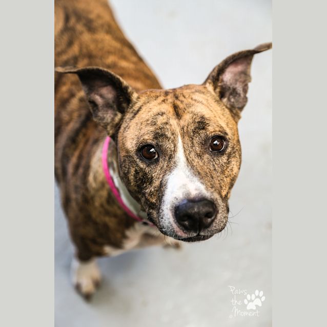 Photo of Kiki ~ #1502349