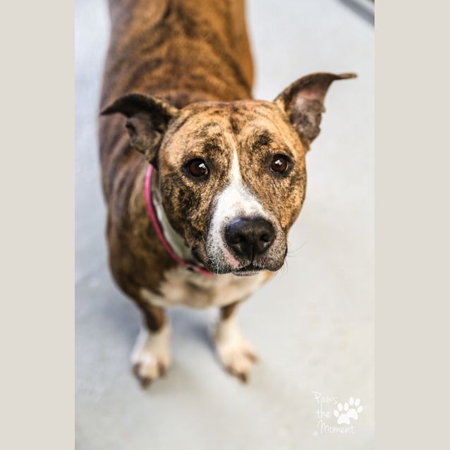 Photo of Kiki ~ #1502349