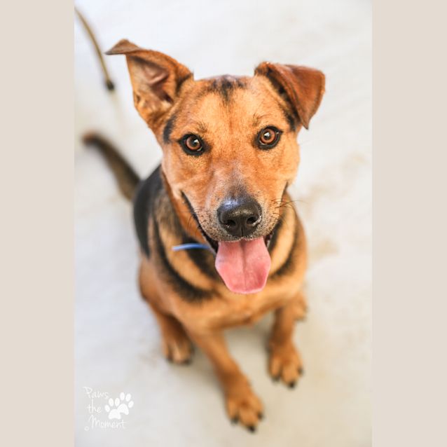 Photo of Bowser ~ #1502361