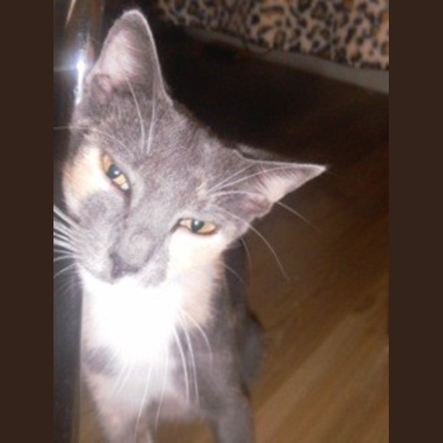 Photo of Lucy