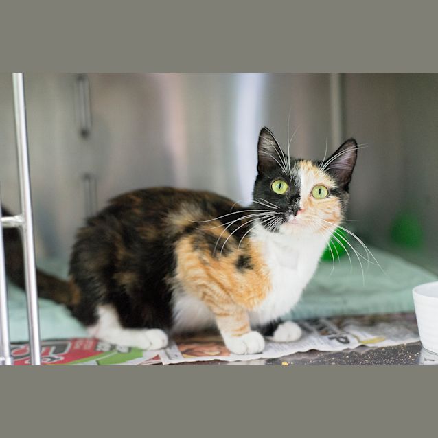 Photo of Lila