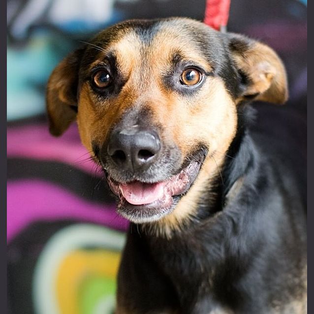 Photo of Turbo