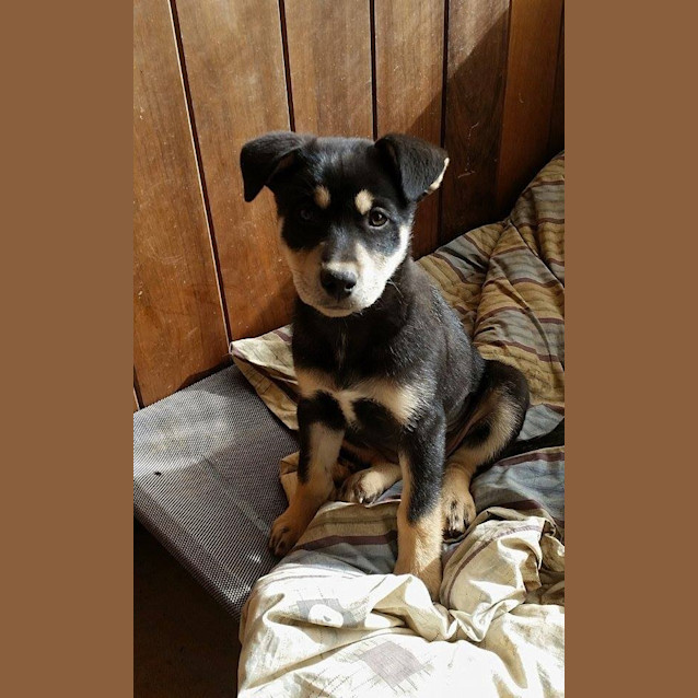 Photo of Chloe