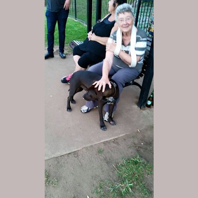 Photo of Oscar ** A Beautiful Loving Boy **