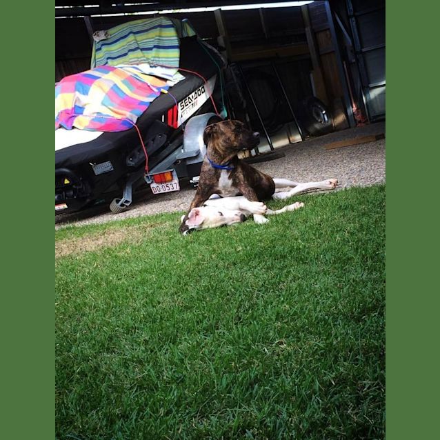Photo of Holly