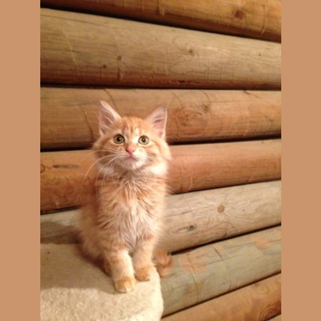 Photo of Rupert