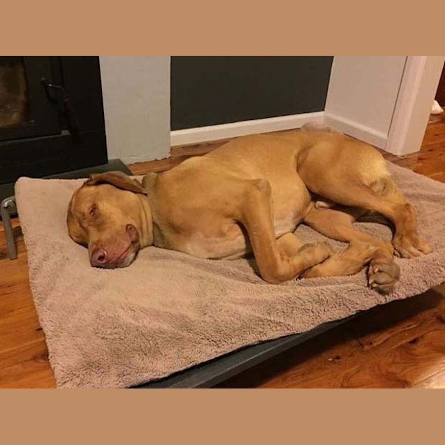Photo of Ernie