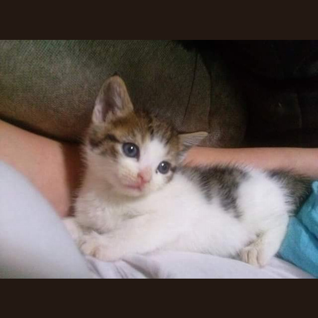 Photo of Calvin