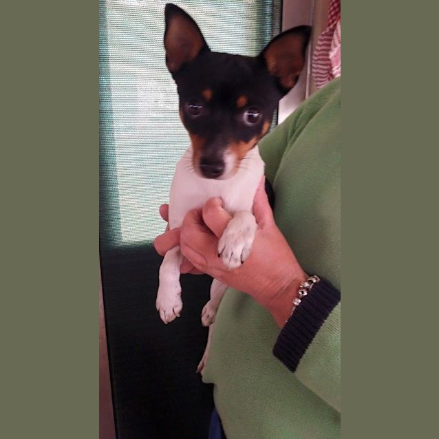 Photo of Oscar
