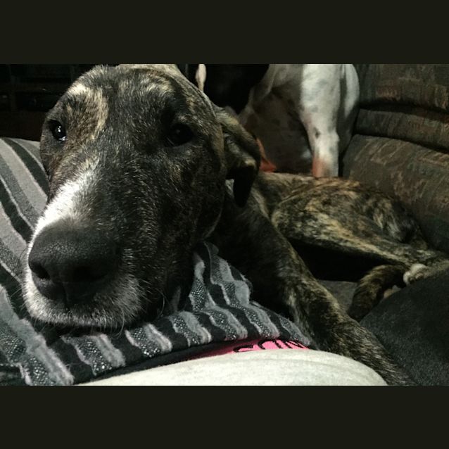Photo of Boots 