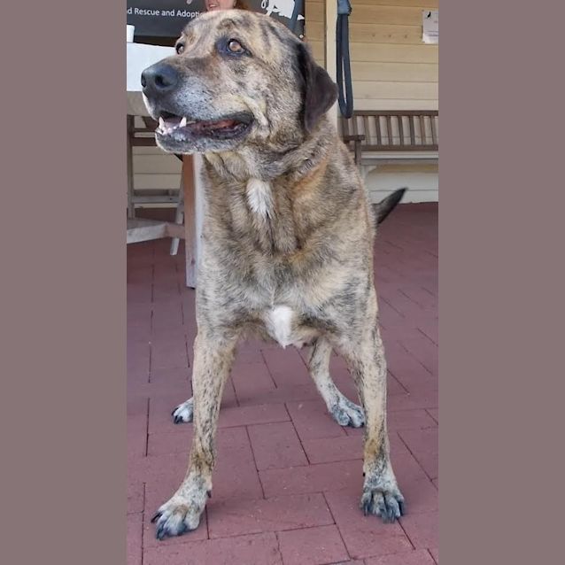 Photo of Zeus Dl1035