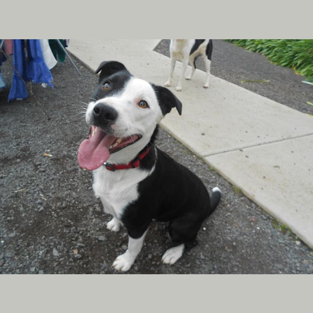 Photo of Maggie