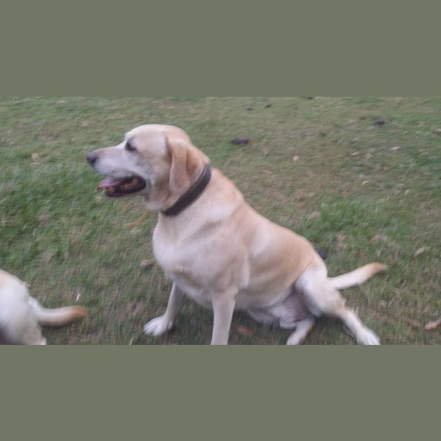 Photo of Starsky And Hutch