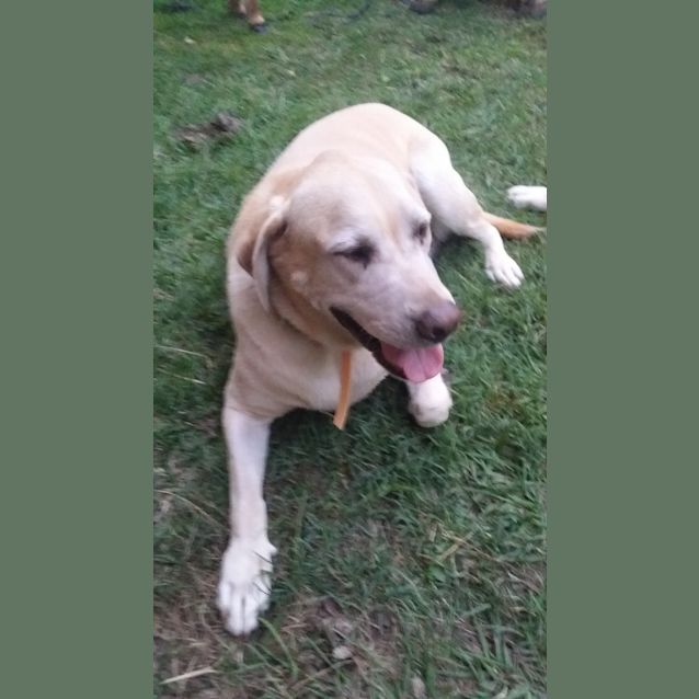 Photo of Starsky And Hutch