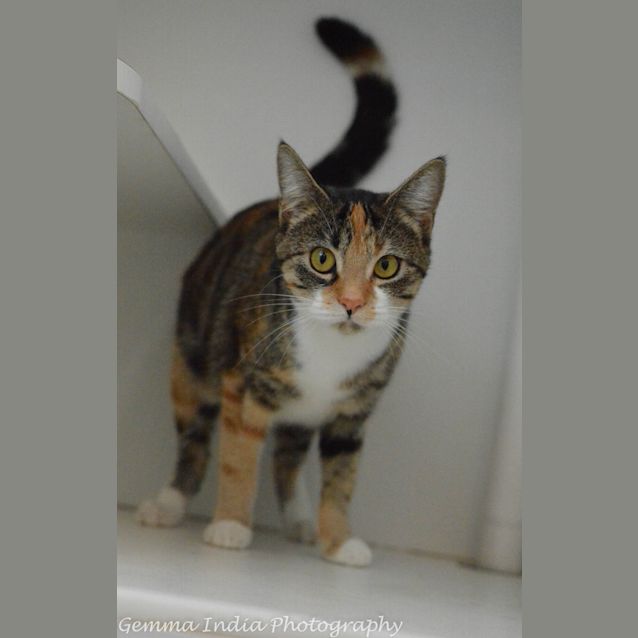 Photo of Ramona