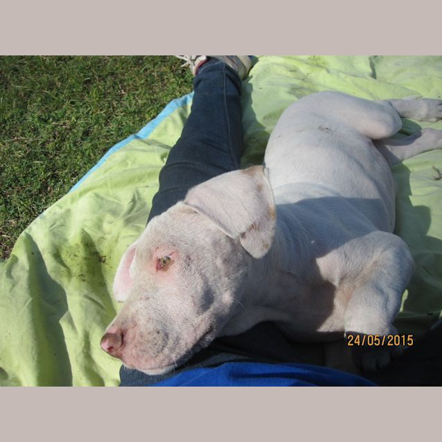 Photo of Caleb (Adoption Pending)