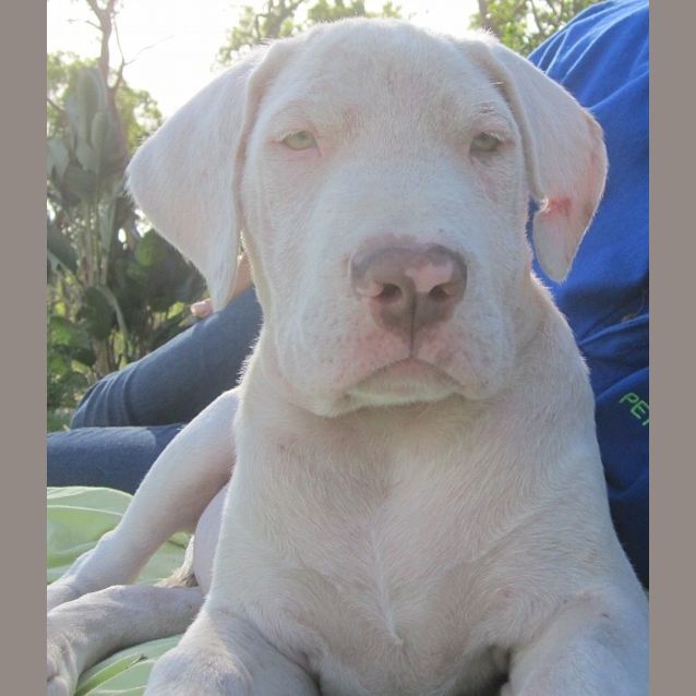 Photo of Caleb (Adoption Pending)