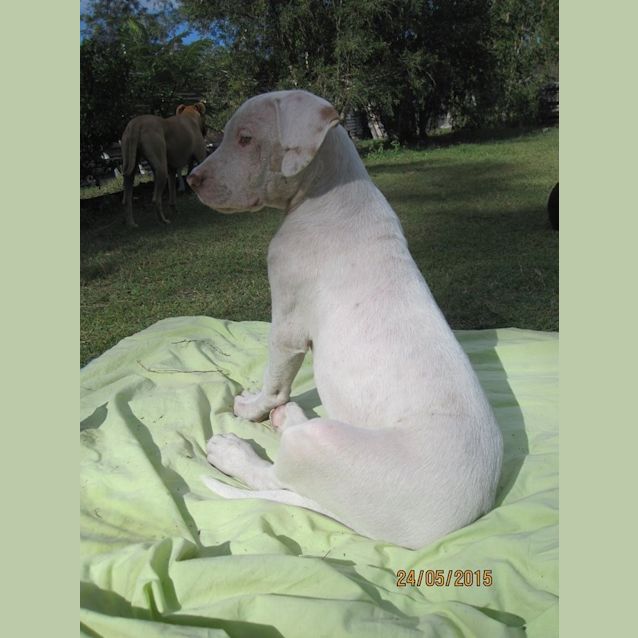 Photo of Caleb (Adoption Pending)