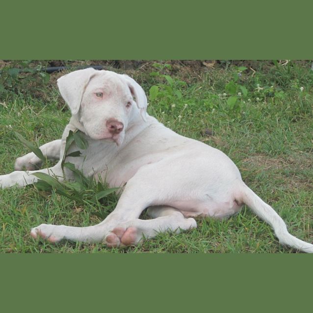 Photo of Caleb (Adoption Pending)