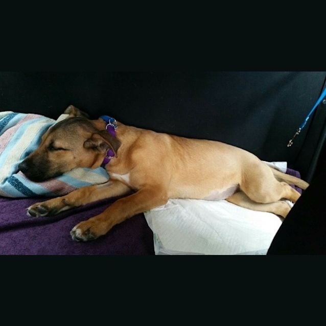 Photo of Sasha