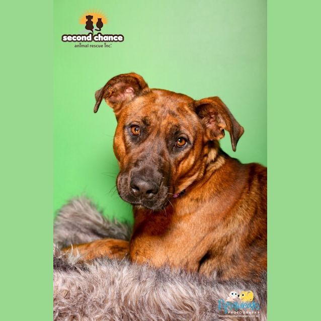 Photo of Lucy