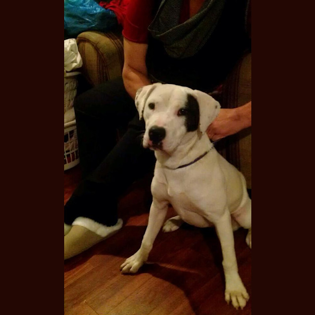 Photo of Lulu