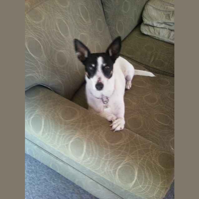 Photo of Jess