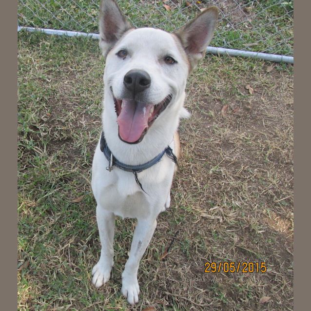 Photo of Kody