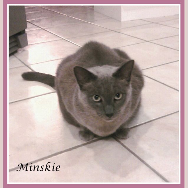Photo of Minskie