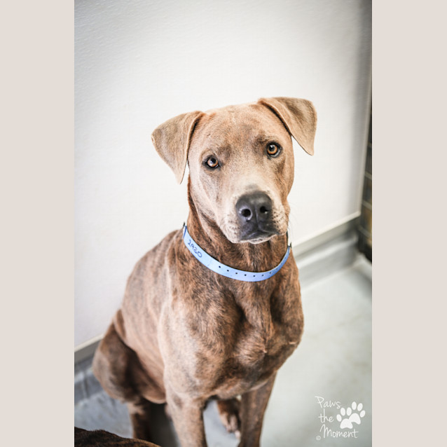 Photo of Rayne ~ #1502430