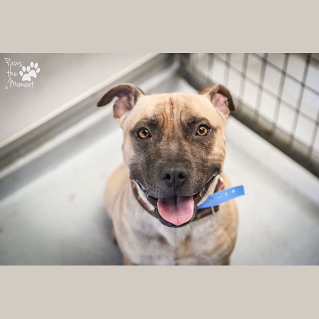 Photo of Flip ~ #1502118