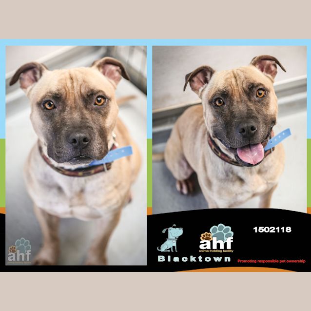 Photo of Flip ~ #1502118