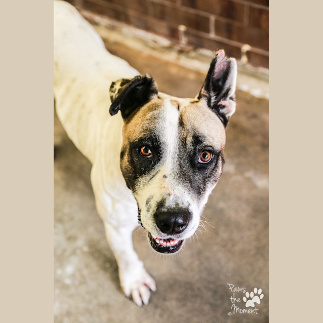 Photo of Bundy ~ #1502315