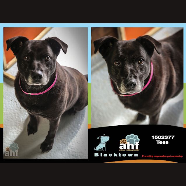 Photo of Tess ~ #1502377