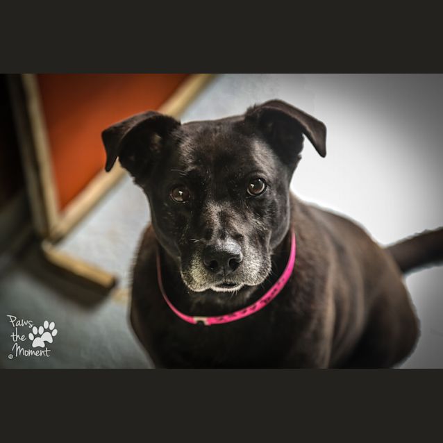 Photo of Tess ~ #1502377