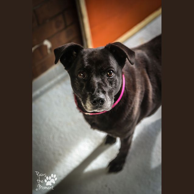 Photo of Tess ~ #1502377