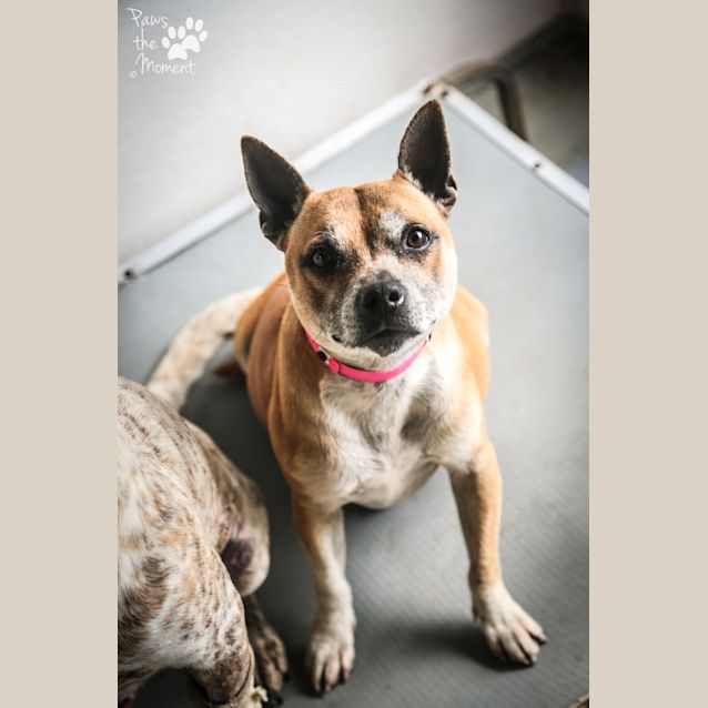 Photo of Sky ~ #1502385