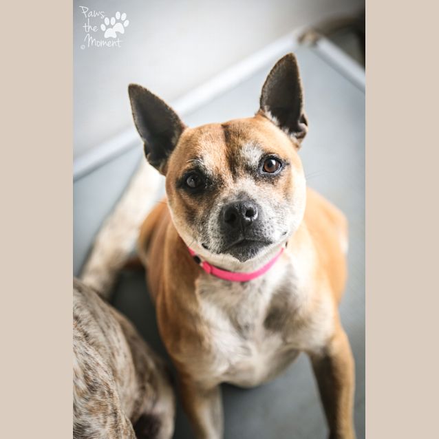 Photo of Sky ~ #1502385