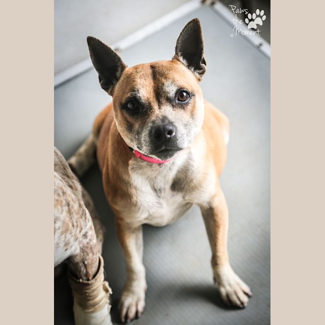 Photo of Sky ~ #1502385